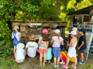 photo Jeux sur les graines et semis d'été, à la Cueillette de l'Aragnon