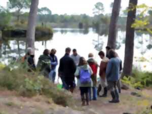 Sortie nature à Hostens - Au fil de l'eau