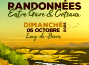 photo Randonnée entre Gave et Coteaux