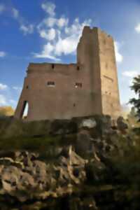Visite commentée du Château de Wangenbourg