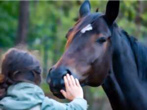 [Équidays] Découverte des émotions et comportement du cheval