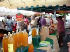 photo Marché hebdomadaire d'Objat