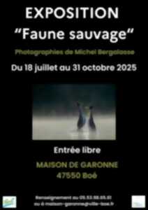 Exposition photographique 
