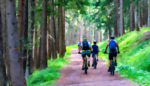 La Balade Calotine : Randonnée VTT