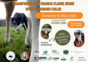 photo Championnat de France Spécial Border Collie