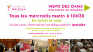 photo Visite des chais des caves de Rauzan