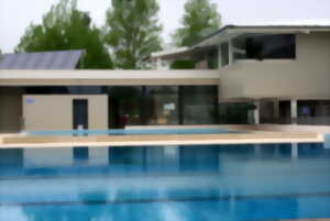 photo Piscines en fête, structure gonflable géante