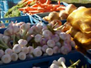 photo MARCHÉ PAYSAN