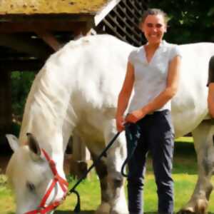 photo Balade en attelage de chevaux percherons à Arville