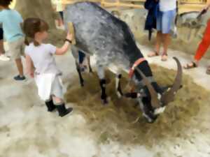 Visite guidée exploitation familiale : Le ferme des Domoiselles