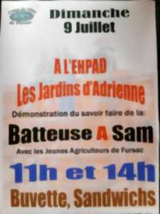 photo Championnat de France Spécial Border Collie