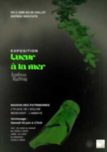 Exposition Collections en Mouvement