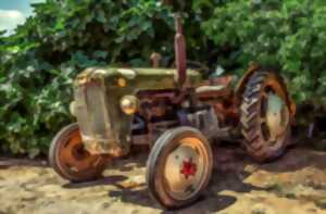 photo Comice agricole