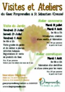 photo Fabrication de remèdes médicaux et tisanes