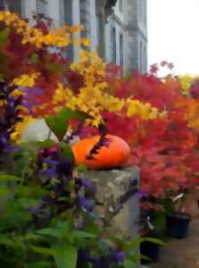 photo Fête des Jardins au château de Pommorio