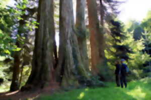 Reconnaissance des arbres et arbuste du Limousin dans l’arboretum domanial