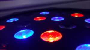 photo Soirée années 80