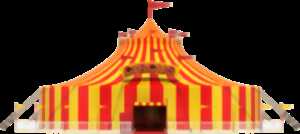 photo Sortie au cirque Arlette Gruss