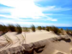 Balade à la découverte des milieux dunaires