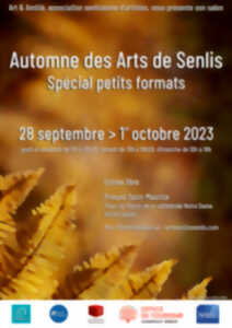 Automne des Arts de Senlis