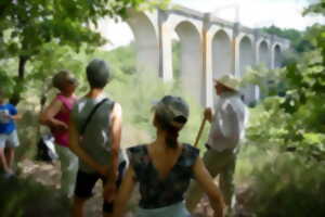 Visite guidée - Le viaduc de Rocherolles