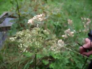 photo Découverte de Dame Nature par nos 5 sens