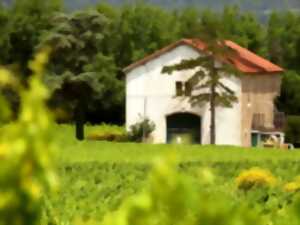 L'ÉTÉ EN CORBIÈRES - DOMAINE DE MINGRAUT