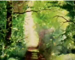 Exposition : Aquarelles