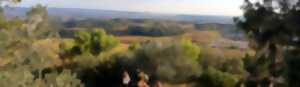 BALADE ENTRE GARRIGUE ET PLAINE VITICOLE
