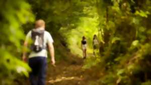 photo Randonnée accompagnée