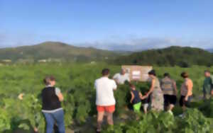 photo Visite d'une ferme familiale de piment d'Espelette