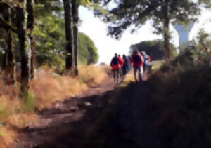 photo Chemins en Fête - rando pédestre