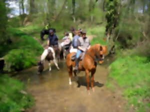 photo Chemins en Fête - rando pédestre