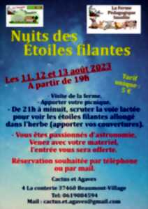 Nuits des étoiles filantes