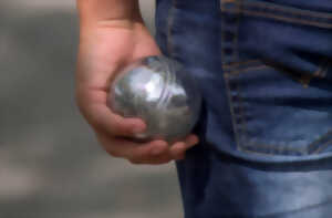 photo Pétanque au profit du Téléthon