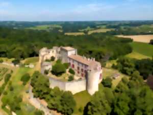 Exposition et visite guidée du château de Benauge