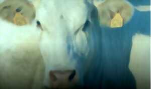 photo Comice agricole cantonal