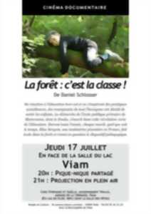photo Cinédoc, projection et débat La forêt : c'est la classe !