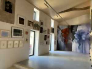 Exposition : Qui peut dire où vont les fleurs ?