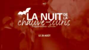 photo Nuit de la chauve-souris | Fabrication d'hôtel à chauve-souris