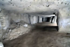 Découverte de la grotte de la Mansonnière