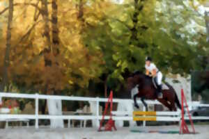 photo Concours hippique national de Saut d'obstacles