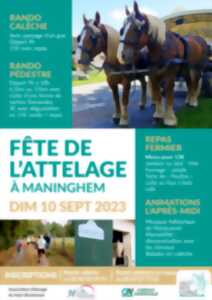 Fête de l'attelage à Maninghem