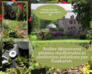 photo Visite du château d'Urtubie  + Atelier découverte des plantes médicinales , confection de son infusion