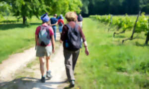 Marche Relais sur la voie de Tours de Saint-Jacques-de-Compostelle