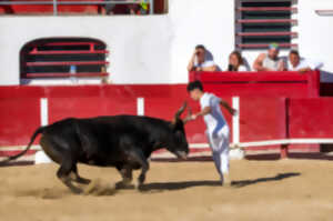 photo TRADITIONS CAMARGUAISES