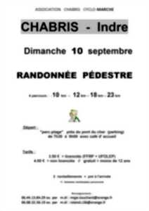 Randonnée pédestre