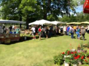 La Naute : Marché aux plantes