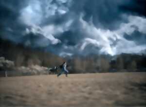 Film - Visions