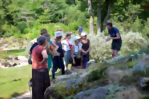 photo Visites guidées au Jardin d’altitude du Haut Chitelet